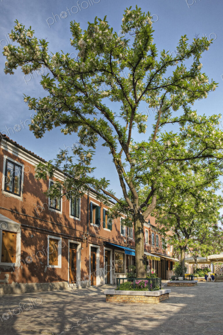 Row of stores and tree on street.