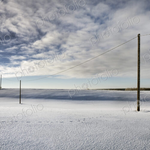 Row of wooden electricity wiring poles in an open winter landscape