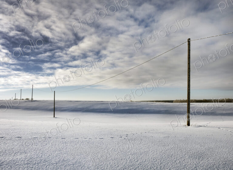 Row of wooden electricity wiring poles in an open winter landscape