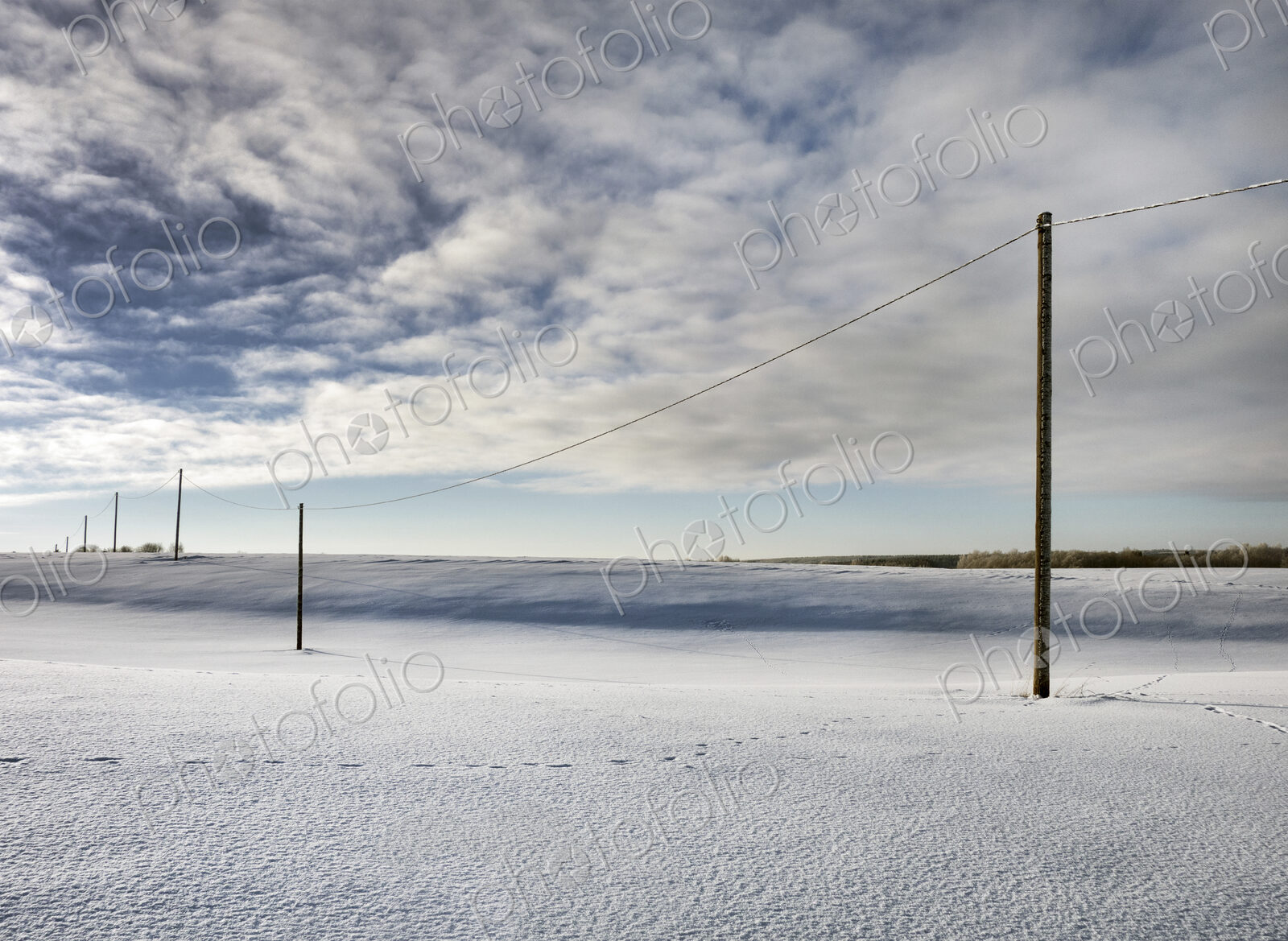 Row of wooden electricity wiring poles in an open winter landscape