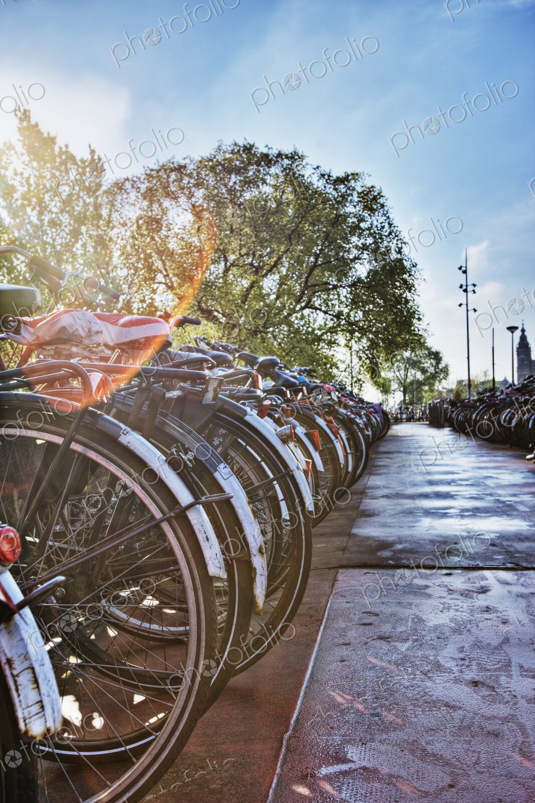 Rows of Bicycles
