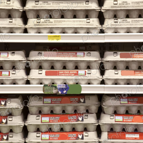 Rows of Egg Cartons on Display Rows of Egg Cartons on Display