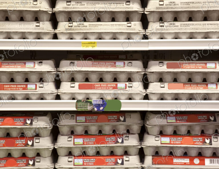 Rows of Egg Cartons on Display