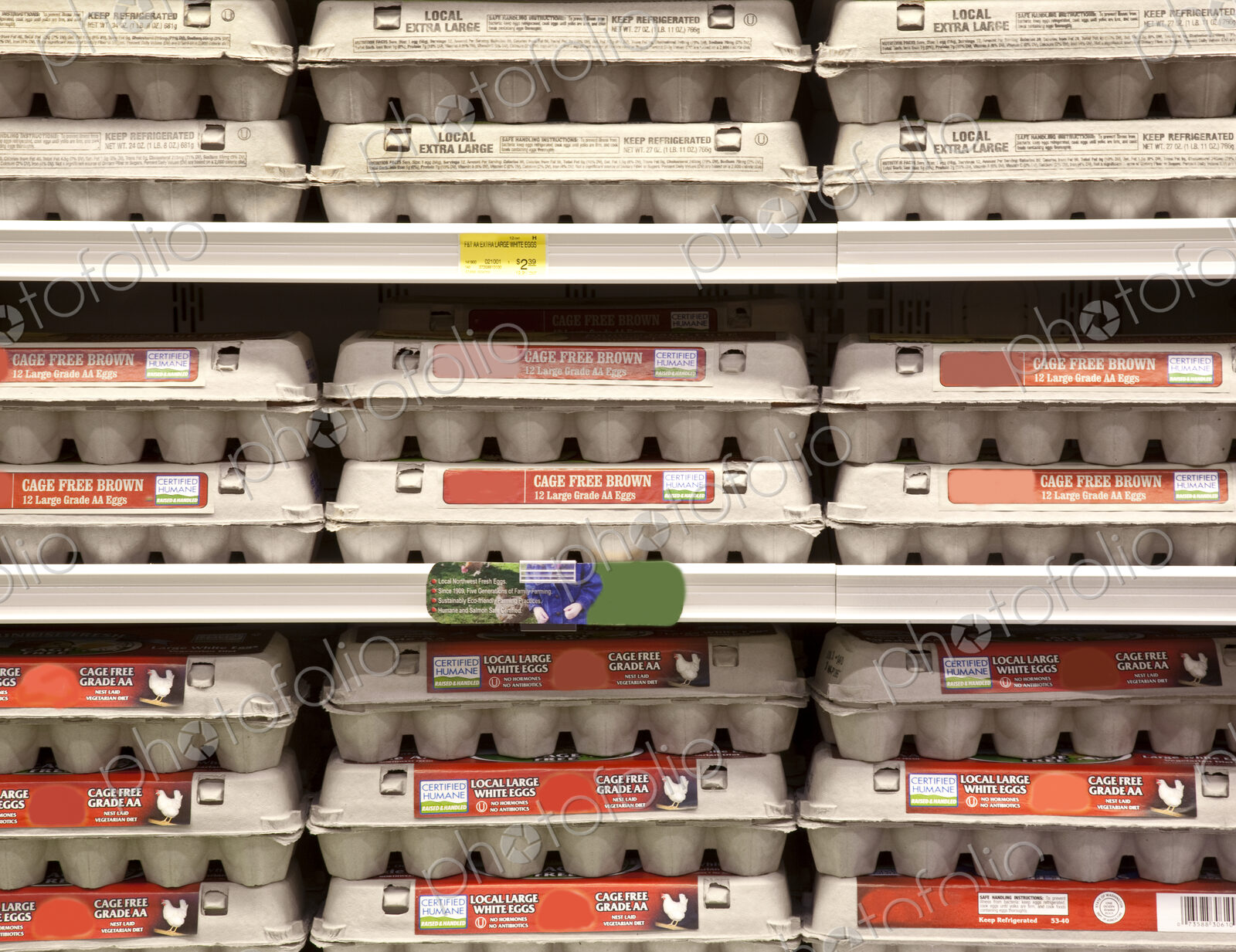 Rows of Egg Cartons on Display