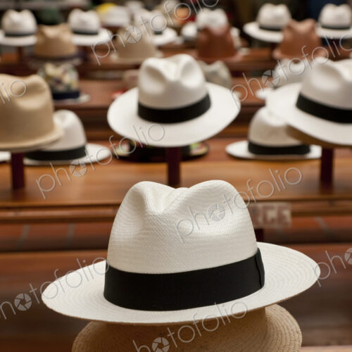 Rows of Panama hats on display in a shop. Rows of Panama hats on display in a shop.