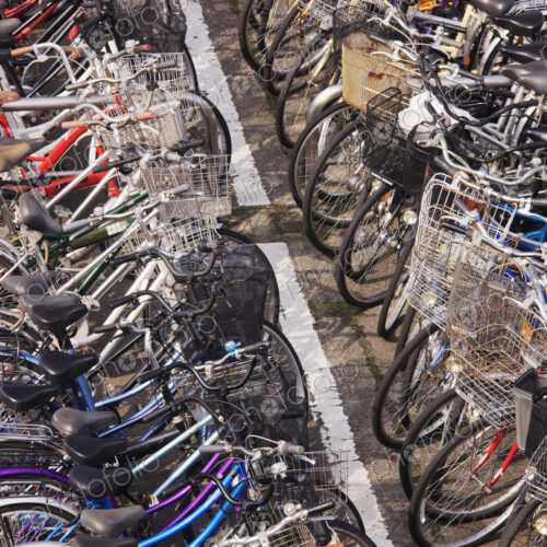 Rows of Parked Bicycles
