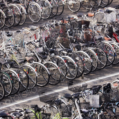 Rows of Parked Bicycles