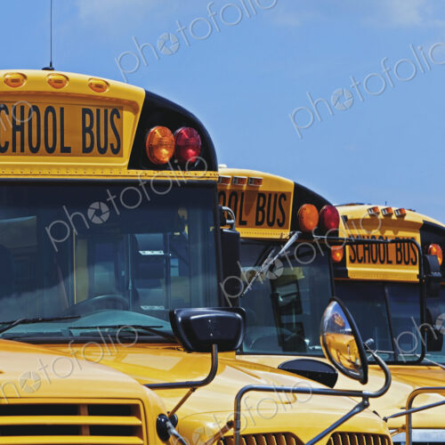 Rows of School Buses Rows of School Buses