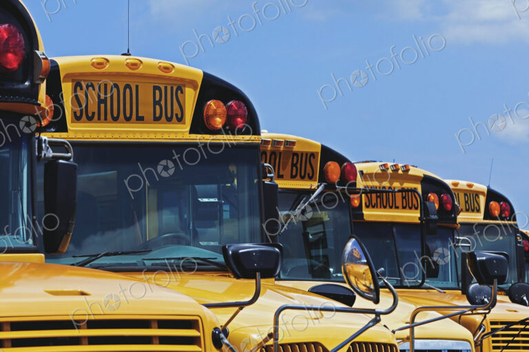Rows of School Buses