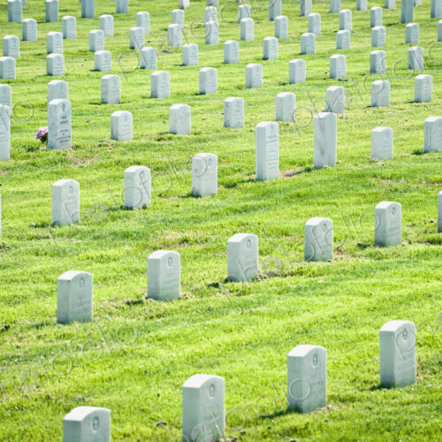 Rows of War Graves Rows of War Graves