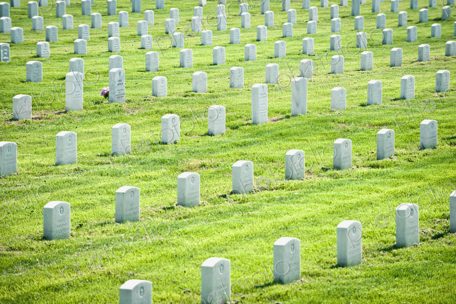 Rows of War Graves