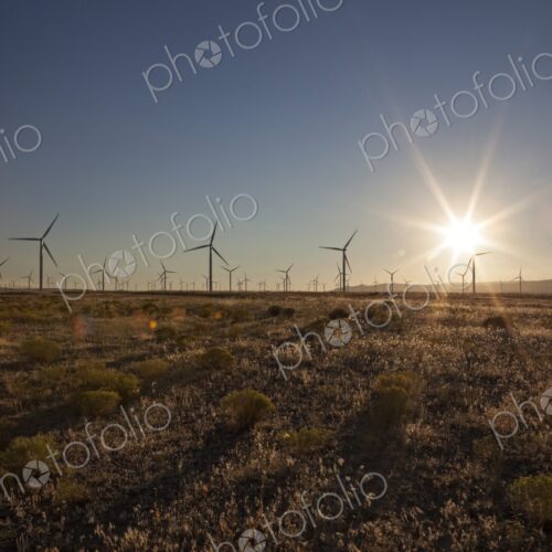 Rows of wind turbines stand in an open Oregon landscape as the sun sets, symbolizing… Rows of wind turbines stand in an open Oregon landscape as the sun sets, symbolizing…