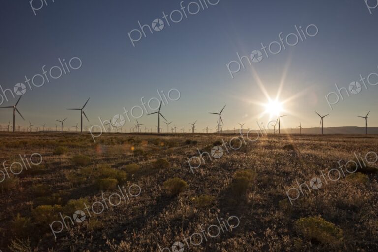 Rows of wind turbines stand in an open Oregon landscape as the sun sets, symbolizing…