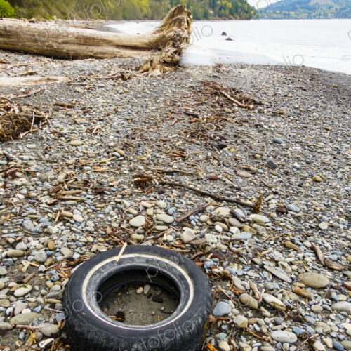 Rubber car tire on wilderness beach, Port Angeles, WA USA Rubber car tire on wilderness beach, Port Angeles, WA USA