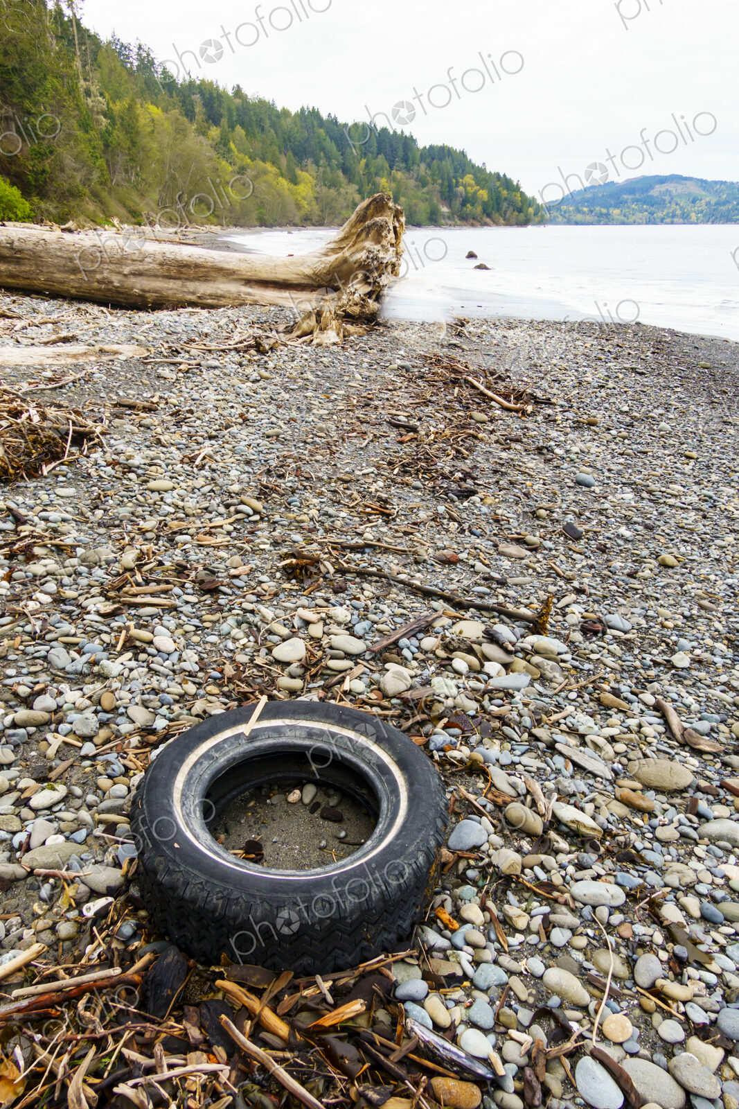 Rubber car tire on wilderness beach, Port Angeles, WA USA