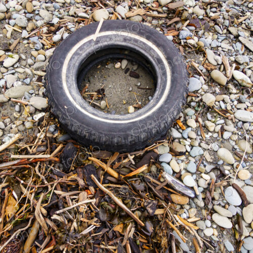 Rubber car tire on wilderness beach, Port Angeles, WA USA Rubber car tire on wilderness beach, Port Angeles, WA USA
