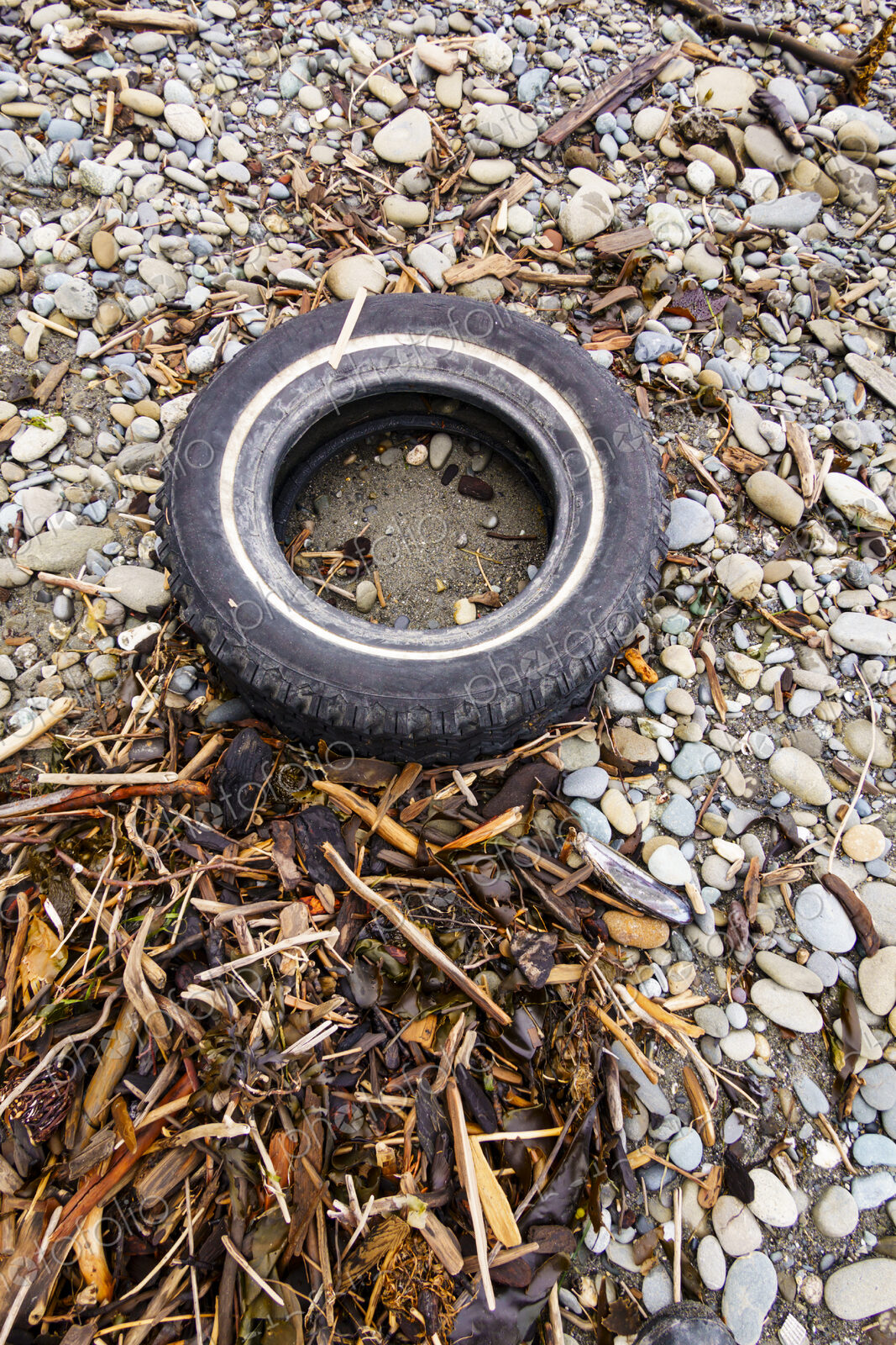 Rubber car tire on wilderness beach, Port Angeles, WA USA
