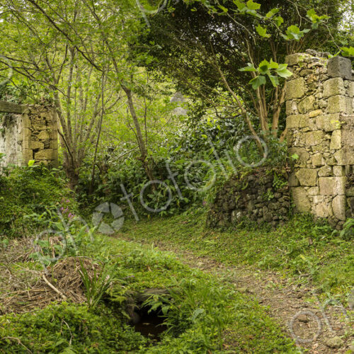 Ruin buildings on dirt path in remote forest