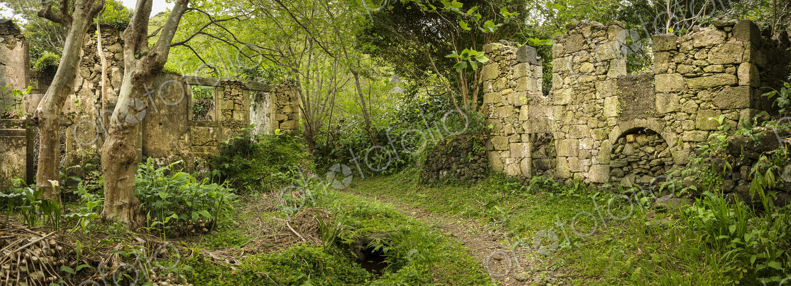Ruin buildings on dirt path in remote forest
