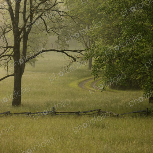 Rural Lane in Morning Fog Rural Lane in Morning Fog