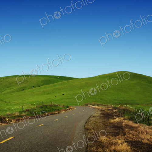 Rural road through rolling green hills Rural road through rolling green hills