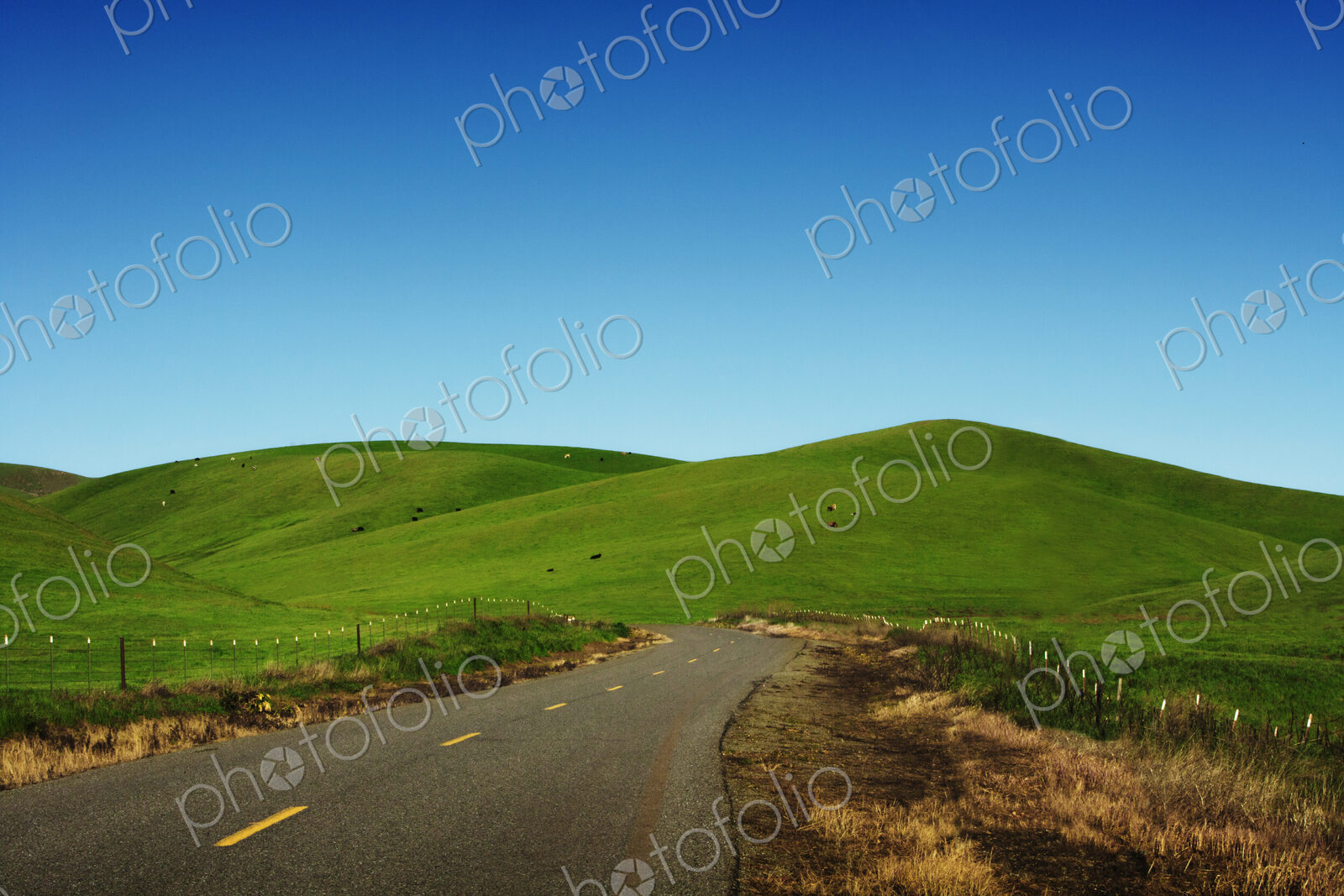 Rural road through rolling green hills