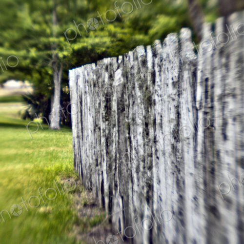 Rustic Fence