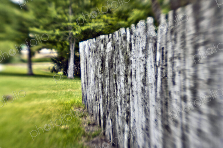 Rustic Fence
