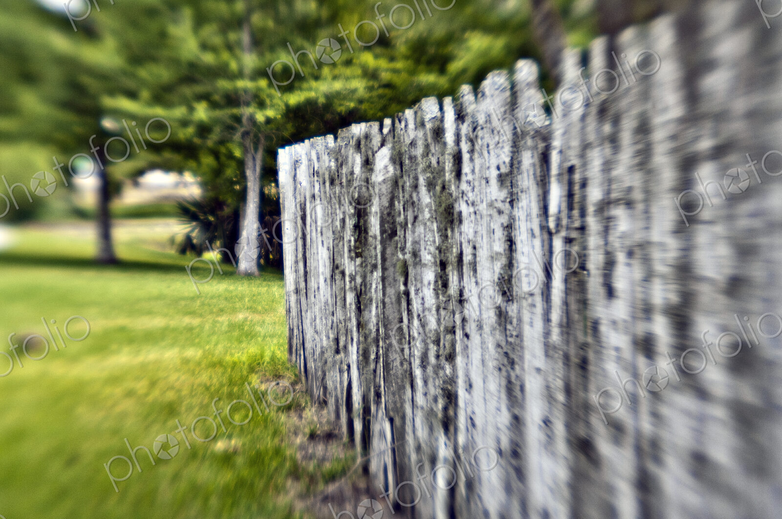 Rustic Fence