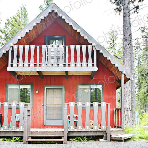 Rustic cabin in rural forest