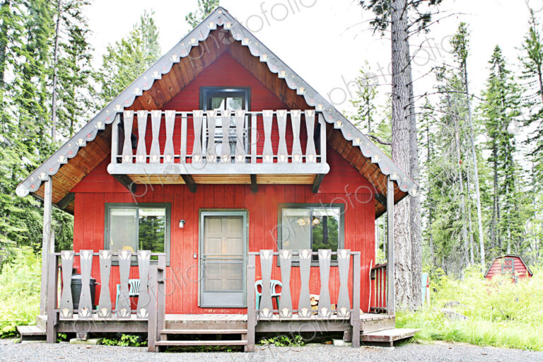 Rustic cabin in rural forest