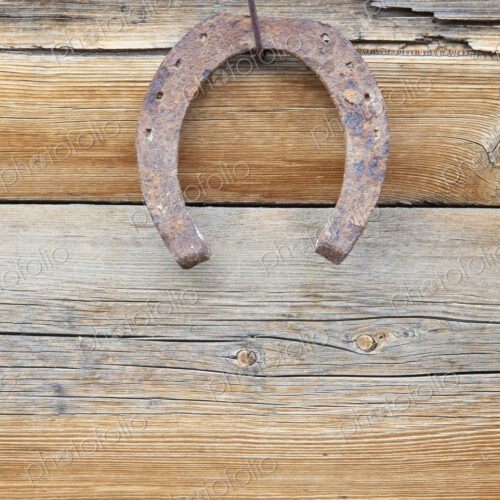 Rusty Horshoe