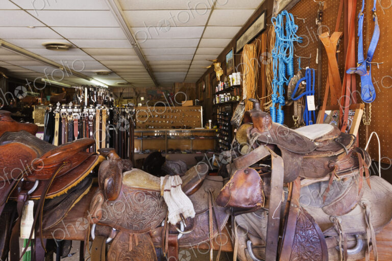 Saddle Shop