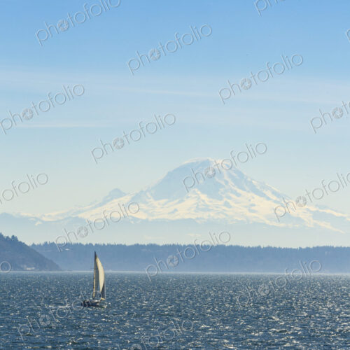 Sailboat on Puget Sound with view of Mt Rainier in windy conditions, near Seattle, WA USA Sailboat on Puget Sound with view of Mt Rainier in windy conditions, near Seattle, WA USA
