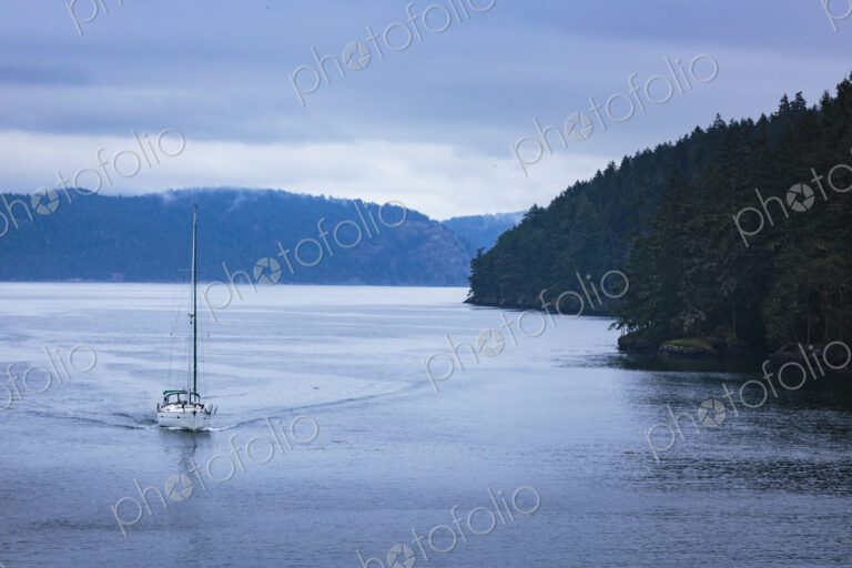 Sailboat on the water passing the islands in the San Juan straits.