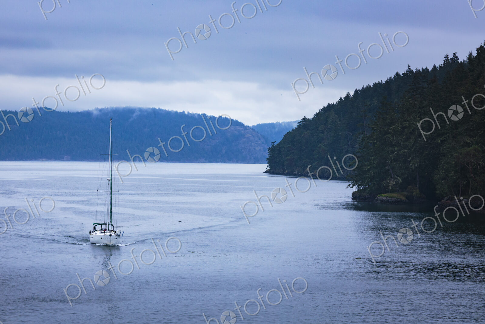 Sailboat on the water passing the islands in the San Juan straits.
