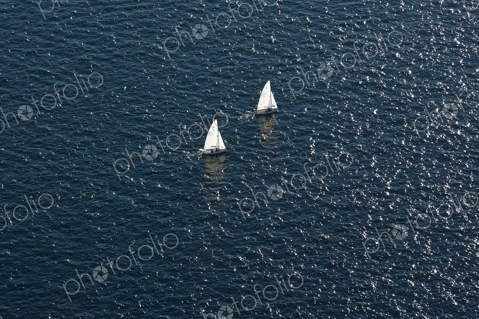 Sailboats in the Ocean
