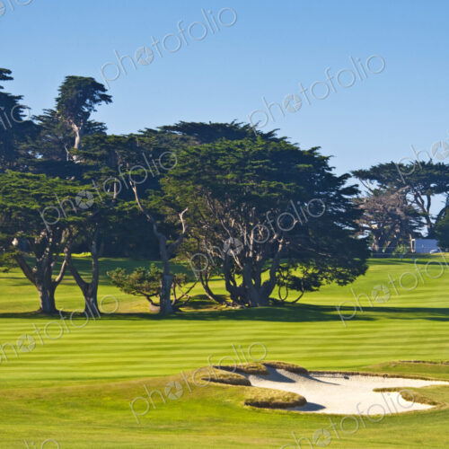 Sand Traps on Golf Course
