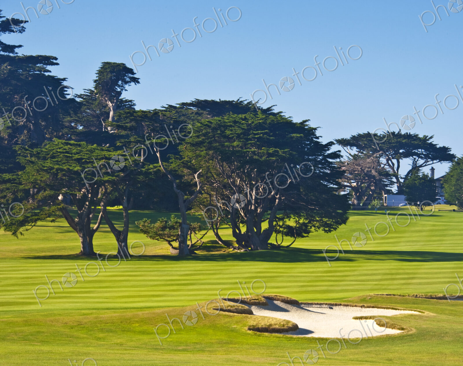 Sand Traps on Golf Course