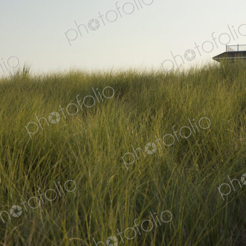 Sand dunes and grasses on a beach, and a beach house in the distance.
