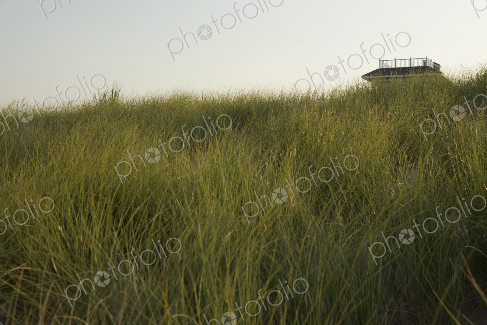 Sand dunes and grasses on a beach, and a beach house in the distance.