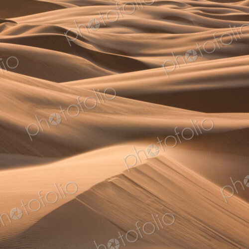 Sand dunes of he Namib Desert