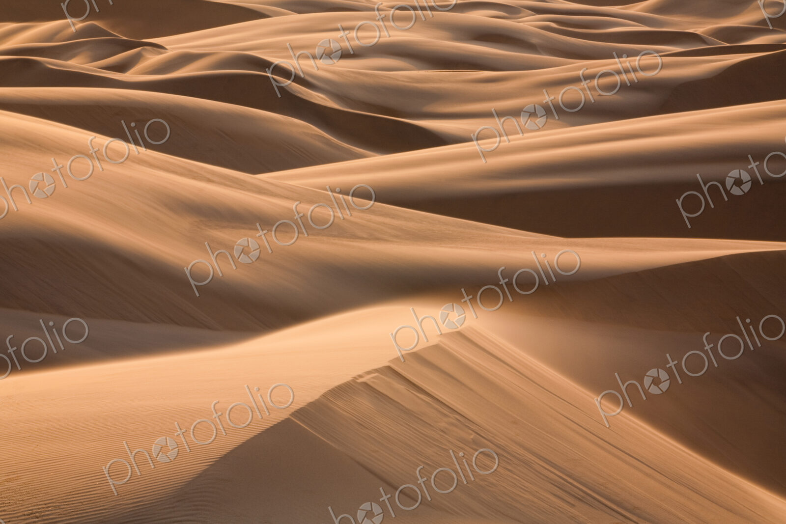 Sand dunes of he Namib Desert