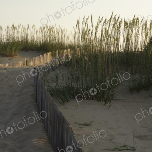 Sand dunes on the coast of Virginia, USA, low light, fence and dune grasses silhouette. Sand dunes on the coast of Virginia, USA, low light, fence and dune grasses silhouette.