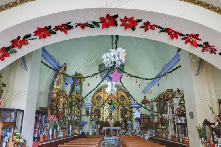 Santa Mara el Tule