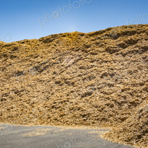Sawdust piles from logging, heaps of wood shavings and chippings from timber processing.