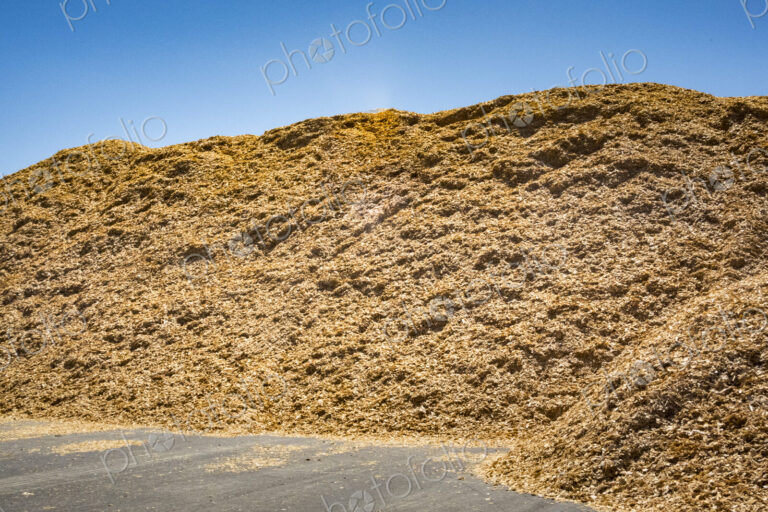 Sawdust piles from logging, heaps of wood shavings and chippings from timber processing.