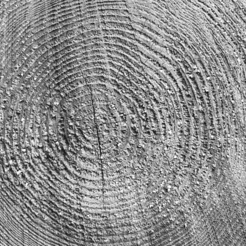 Sawn ends of timber logs, cut wood, with wood grain pattern. Sawn ends of timber logs, cut wood, with wood grain pattern.