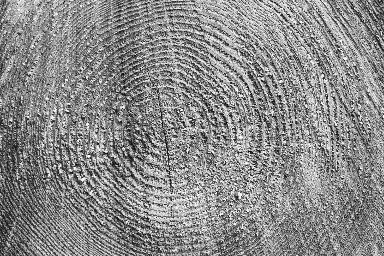 Sawn ends of timber logs, cut wood, with wood grain pattern.