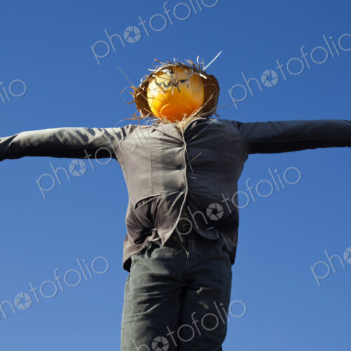 Scarecrow against blue sky Scarecrow against blue sky